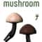 Mushroom Wooden Car Air Freshener Vent Aromatherapy Clip Ocean Scent Car Fragrance Decor