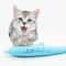 Catnip Dolphin Cat Teeth Cleaning Silicone Chew Toy, Interactive Dental Care Pet Toy for Cats