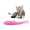Catnip Dolphin Cat Teeth Cleaning Silicone Chew Toy, Interactive Dental Care Pet Toy for Cats