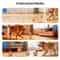 Smart Automatic Pet Toy Ball with LED Interactive Dog Training Ball for Boredom Relief