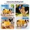 Smart Automatic Pet Toy Ball with LED Interactive Dog Training Ball for Boredom Relief