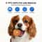 Smart Automatic Pet Toy Ball with LED Interactive Dog Training Ball for Boredom Relief