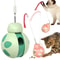 Tumbler Balance Beetle Cat Toy with Treat Dispenser & Teaser Stick Interactive Cat Toy
