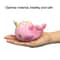 Whale Slow Rebound Squishy Toy Stress Relief Sensory Decompression Toy