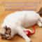 Smart Avoid Electric Cat Toy Ball Interactive Automatic Play Toy for Cats