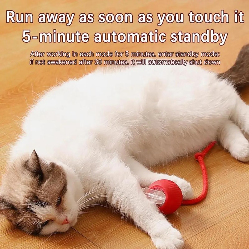 Smart Avoid Electric Cat Toy Ball Interactive Automatic Play Toy for Cats