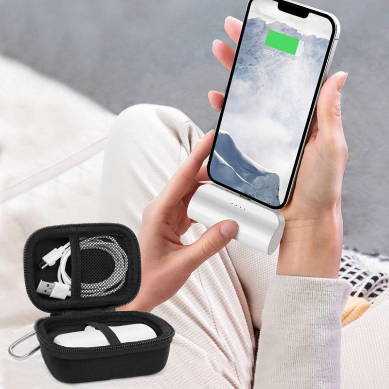 iWALK Mini and LinkPod Portable Power Bank Storage Bag Case Travel Organizer