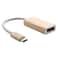 USB-C to HDMI Adapter Cable Type-C Display Adapter for MacBook Chromebook Pixel
