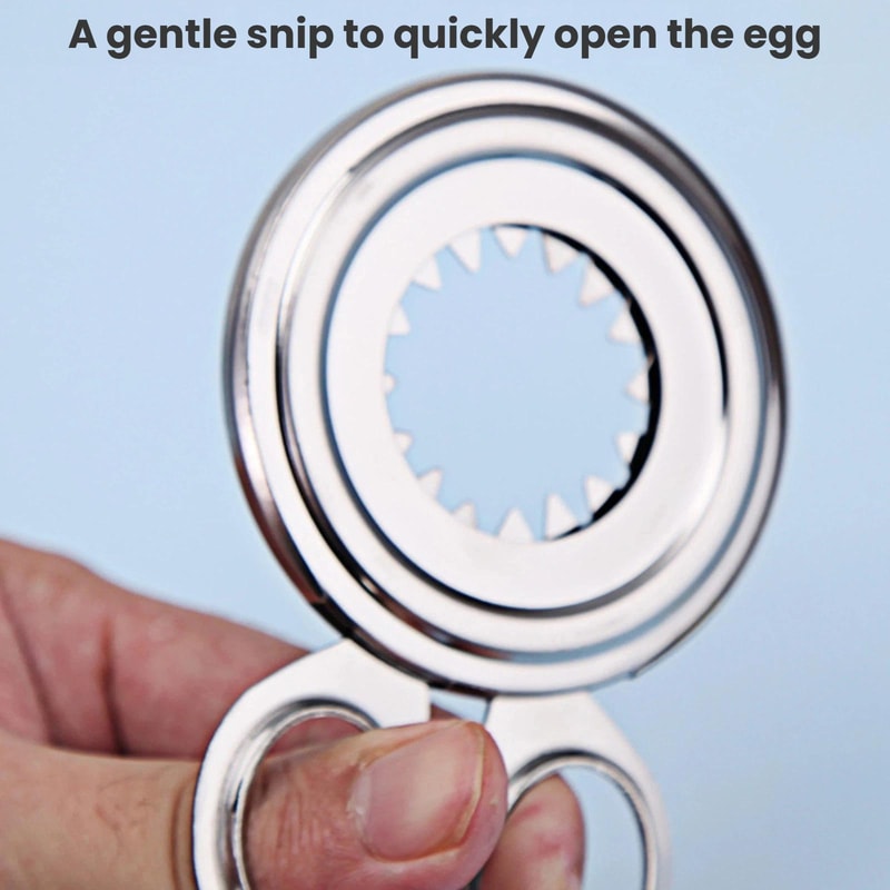 Stainless Steel Egg Cracker Tool Handheld Egg Shell Opener Soft Boiled Egg Kitchen Gadget