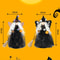 Halloween Hanging Witch Doll Decor with Butterfly Ghost Design for Spooky Party Atmosphere