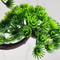 Welcome Pine Artificial Plant Desk Decor Realistic Greenery Desktop Accent for Home & Office