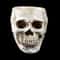 Gothic Skull Ashtray Resin Halloween Decor Smoking Accessory