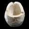 Gothic Skull Ashtray Resin Halloween Decor Smoking Accessory