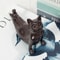 Zen Yoga Cat Figurine Meditation Decor for Home and Office
