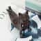 Zen Yoga Cat Figurine Meditation Decor for Home and Office