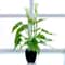 Artificial Calla Lily Potted Plant Realistic Indoor Home Decor