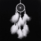 Boho Dream Catcher Car Hanging Ornament Handwoven Feather Wall Decor 10