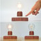LevitoGlow Magnetic Floating Bulb Lamp with Wooden Base LED Ambient Light