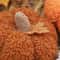 Halloween Pumpkin Ornament Doll, Artificial Pumpkin Decoration for Festive Home Decor & Gift