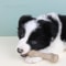 ChewGuard Durable Dog Teething Bone Toy – Bite Resistant Interactive Chew Stick for Puppies & Dogs