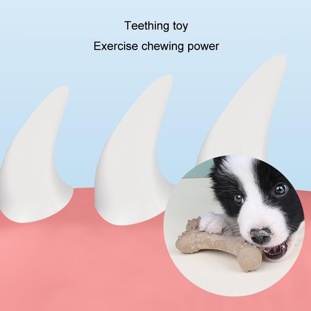 ChewGuard Durable Dog Teething Bone Toy – Bite Resistant Interactive Chew Stick for Puppies & Dogs
