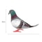 Realistic Foam Pigeon Garden & Home Ornament Decor
