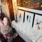 LED Willow Branch Lights Battery Operated Decorative Lamp 5