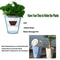 Diamond Self Watering Planter Pot for Indoor Plants and Home Garden Decor