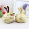 Whimsical Fat Garlic Rabbit Resin Figurine Set for Home Decor and Gift Giving