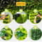 Vertical Garden Wall Planter Set with Removable Pots for Indoor Outdoor Balcony Decor