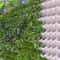 Vertical Garden Wall Planter Set with Removable Pots for Indoor Outdoor Balcony Decor