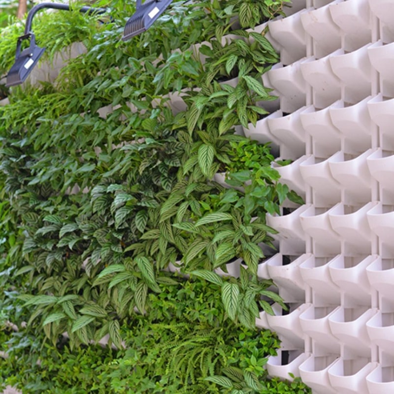 Vertical Garden Wall Planter Set with Removable Pots for Indoor Outdoor Balcony Decor