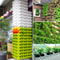 Vertical Garden Wall Planter Set with Removable Pots for Indoor Outdoor Balcony Decor