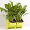 Vertical Garden Wall Planter Set with Removable Pots for Indoor Outdoor Balcony Decor