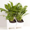 Vertical Garden Wall Planter Set with Removable Pots for Indoor Outdoor Balcony Decor