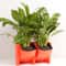 Vertical Garden Wall Planter Set with Removable Pots for Indoor Outdoor Balcony Decor