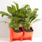 Vertical Garden Wall Planter Set with Removable Pots for Indoor Outdoor Balcony Decor