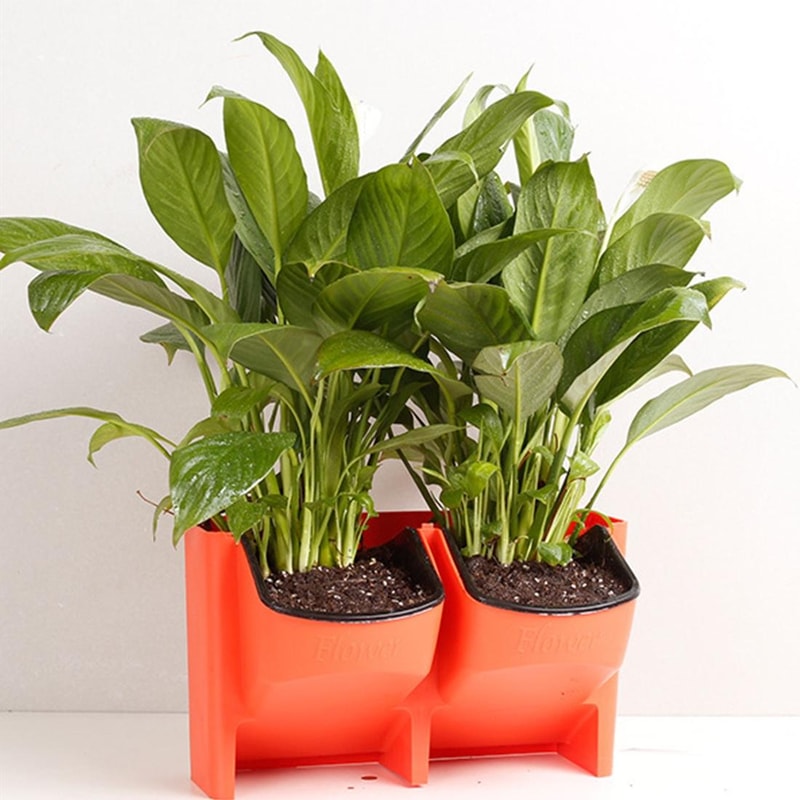 Vertical Garden Wall Planter Set with Removable Pots for Indoor Outdoor Balcony Decor
