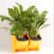 Vertical Garden Wall Planter Set with Removable Pots for Indoor Outdoor Balcony Decor