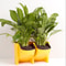 Vertical Garden Wall Planter Set with Removable Pots for Indoor Outdoor Balcony Decor