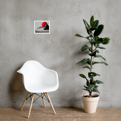 framed photo paper poster