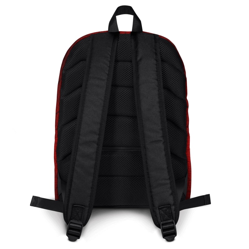 Backpack 7