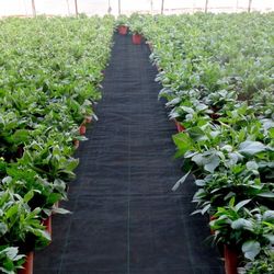 20-year heavy duty pp landscape fabric, premium woven weed barrier for outdoor garden, lawn & driveway
