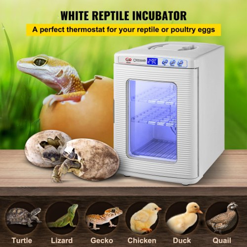 25L Scientific Lab Incubator Digital Cooling  Heating 542C Reptile Egg Incubator For Poultry  Repti 2