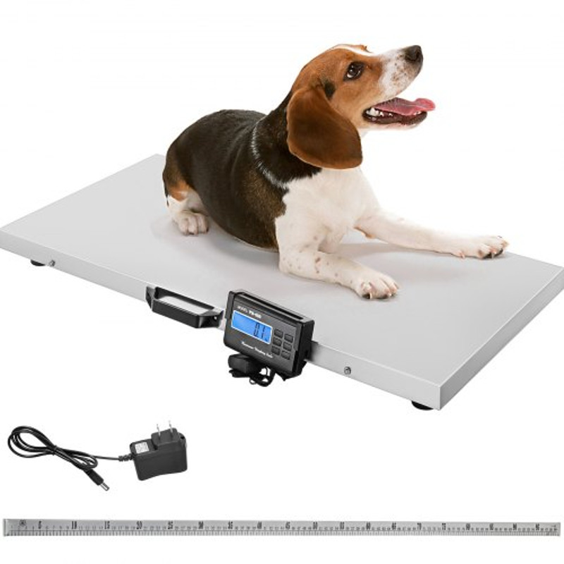 Large Pet Vet Scale 1100LB Digital Livestock Scale With Stainless Steel Platform For Dogs Hogs Shee 1