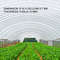Greenhouse Polyethylene Film, Clear UV Resistant Plastic Film for Warmth Retention, Plant Growth, and Heavy-Duty Outdoor