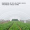 Greenhouse Polyethylene Film, Mil Clear UV Resistant Plastic for Gardening, Tear-Resistant Greenhouse Plastic Sheeting
