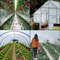 Greenhouse Polyethylene Film, Mil Clear UV Resistant Plastic for Gardening, Tear-Resistant Greenhouse Plastic Sheeting