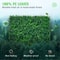 Boxwood Hedge Wall Panels Set, Artificial Grass Backdrop Wall Thick, UV Protected Privacy Fence Screen, Indoor Outdoor