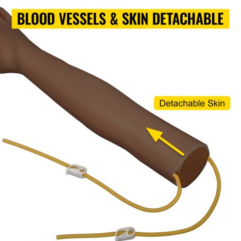 Dark Skin IV Practice Kit, Phlebotomy Training Arm with Infusion Stand for Venipuncture, IV Injection, and Blood Draw